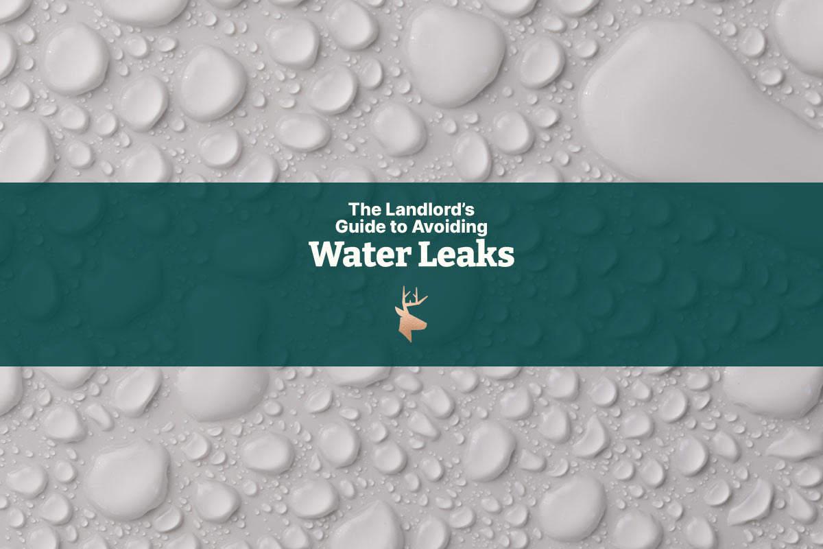 how-to-avoid-water-leaks